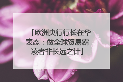 欧洲央行行长在华表态：做全球贸易霸凌者非长远之计
