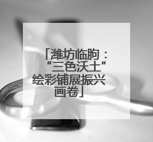 潍坊临朐：“三色沃土”绘彩铺展振兴画卷