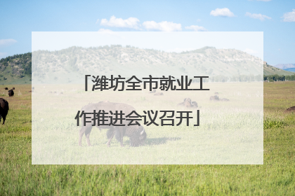 潍坊全市就业工作推进会议召开