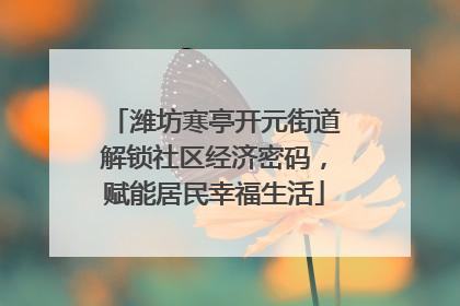 潍坊寒亭开元街道解锁社区经济密码，赋能居民幸福生活