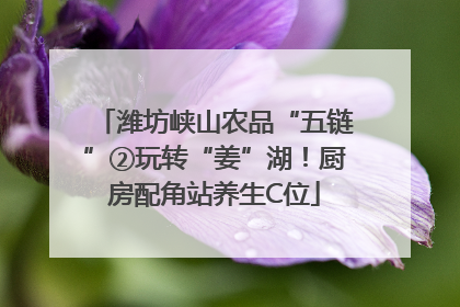 潍坊峡山农品“五链”②玩转“姜”湖！厨房配角站养生C位