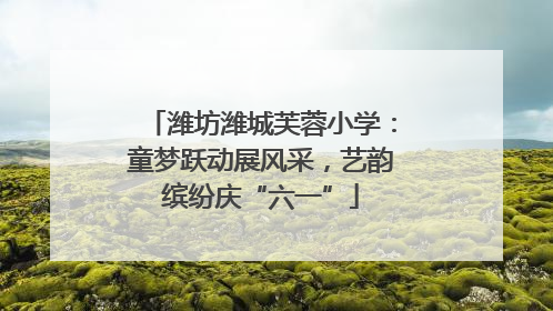 潍坊潍城芙蓉小学：童梦跃动展风采，艺韵缤纷庆“六一”