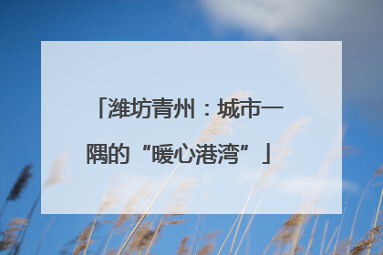 潍坊青州：城市一隅的“暖心港湾”