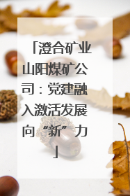 澄合矿业山阳煤矿公司：党建融入激活发展向“新”力