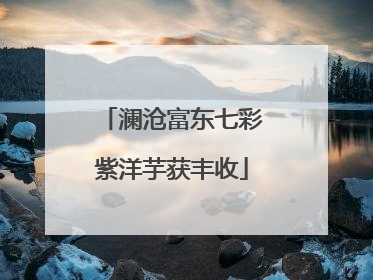 澜沧富东七彩紫洋芋获丰收