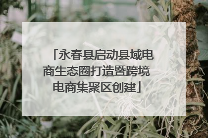 永春县启动县域电商生态圈打造暨跨境电商集聚区创建