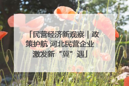 民营经济新观察｜政策护航 河北民营企业激发新“冀”遇