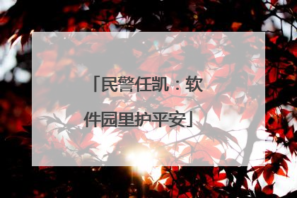 民警任凯：软件园里护平安