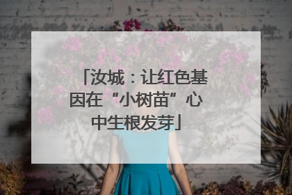 汝城：让红色基因在“小树苗”心中生根发芽