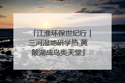 江淮环保世纪行｜三河湿地研学热 黄陂湖成鸟类天堂