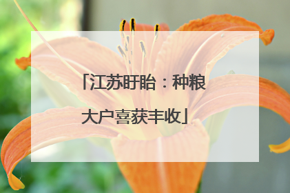 江苏盱眙：种粮大户喜获丰收