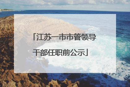 江苏一市市管领导干部任职前公示