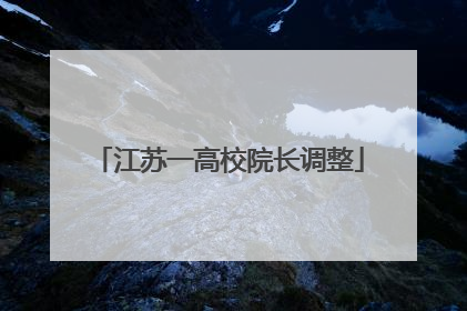 江苏一高校院长调整