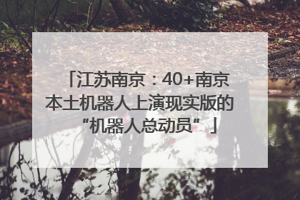 江苏南京：40+南京本土机器人上演现实版的“机器人总动员”