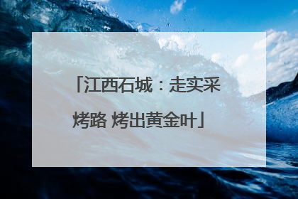 江西石城：走实采烤路 烤出黄金叶