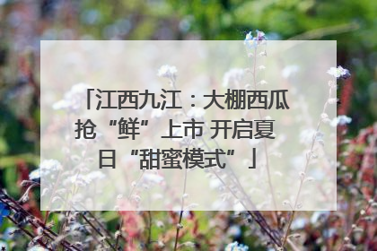 江西九江：大棚西瓜抢“鲜”上市 开启夏日“甜蜜模式”