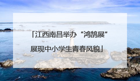 江西南昌举办“鸿鹄展” 展现中小学生青春风貌