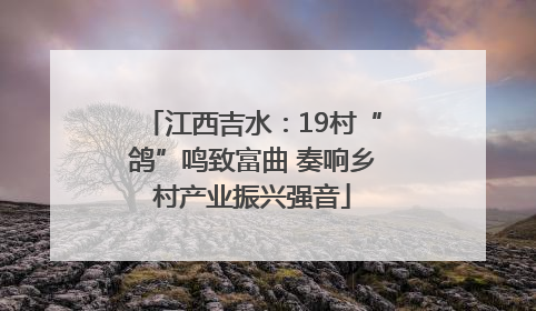 江西吉水：19村“鸽”鸣致富曲 奏响乡村产业振兴强音
