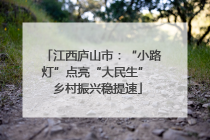 江西庐山市：“小路灯”点亮“大民生” 乡村振兴稳提速