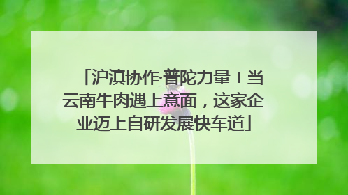 沪滇协作·普陀力量〡当云南牛肉遇上意面，这家企业迈上自研发展快车道