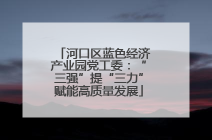 河口区蓝色经济产业园党工委：“三强”提“三力”赋能高质量发展