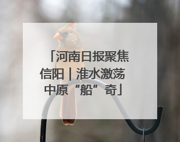 河南日报聚焦信阳｜淮水激荡中原“船”奇