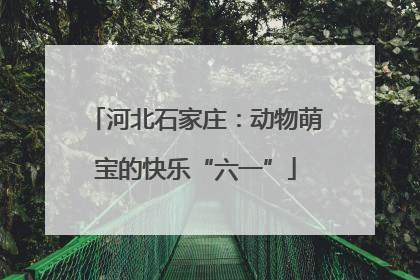 河北石家庄：动物萌宝的快乐“六一”
