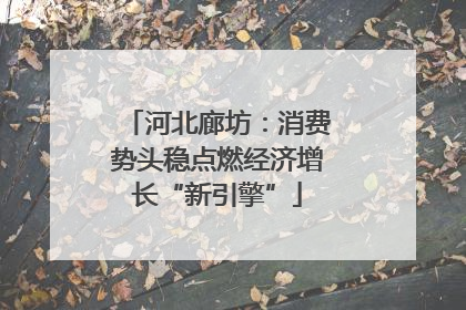 河北廊坊：消费势头稳点燃经济增长“新引擎”