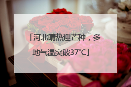河北晴热迎芒种，多地气温突破37℃