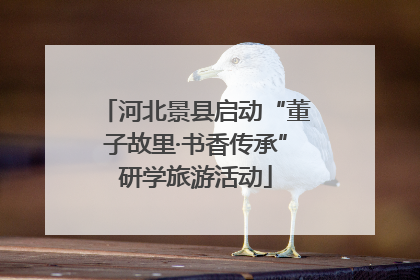 河北景县启动“董子故里·书香传承”研学旅游活动