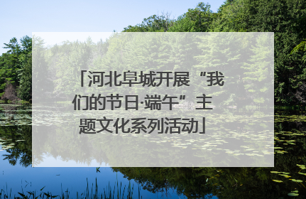 河北阜城开展“我们的节日·端午”主题文化系列活动