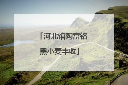 河北馆陶富铬黑小麦丰收