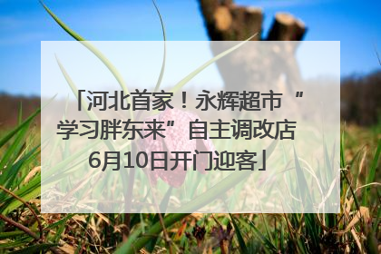 河北首家！永辉超市“学习胖东来”自主调改店6月10日开门迎客