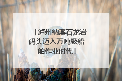 泸州纳溪石龙岩码头迈入万吨级船舶作业时代