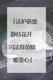 法护蓓蕾静待花开 司法育苗情暖童心