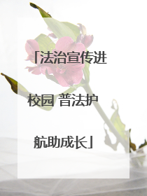 法治宣传进校园 普法护航助成长