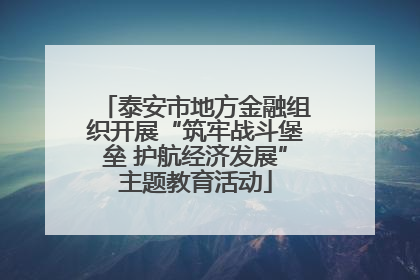 泰安市地方金融组织开展“筑牢战斗堡垒 护航经济发展”主题教育活动