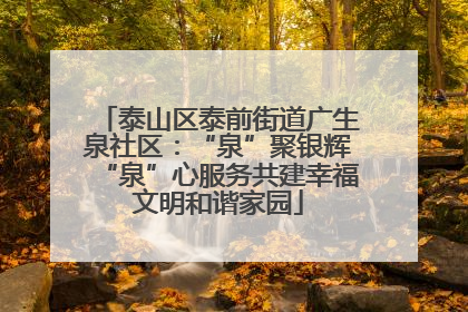 泰山区泰前街道广生泉社区：“泉”聚银辉“泉”心服务共建幸福文明和谐家园