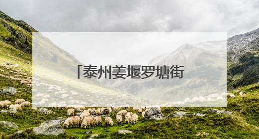 泰州姜堰罗塘街道：护航中高考 呵护千万家