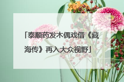 泰顺药发木偶戏借《藏海传》再入大众视野