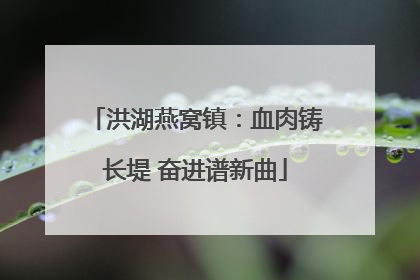 洪湖燕窝镇：血肉铸长堤 奋进谱新曲