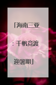 海南三亚：千帆竞渡迎暑期