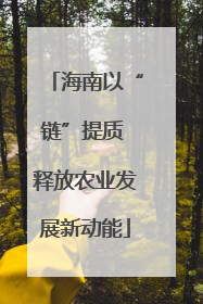 海南以“链”提质 释放农业发展新动能