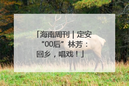 海南周刊｜定安“00后”林芳：回乡，唱戏！