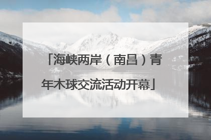 海峡两岸（南昌）青年木球交流活动开幕