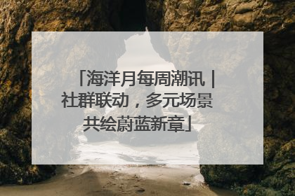 海洋月每周潮讯｜社群联动，多元场景共绘蔚蓝新章