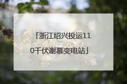 浙江绍兴投运110千伏谢慕变电站