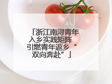 浙江南浔青年入乡实践矩阵 引燃青年返乡“双向奔赴”