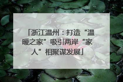 浙江温州：打造“温暖之家”吸引两岸“家人”相聚谋发展