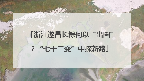 浙江遂昌长粽何以“出圈”？“七十二变”中探新路